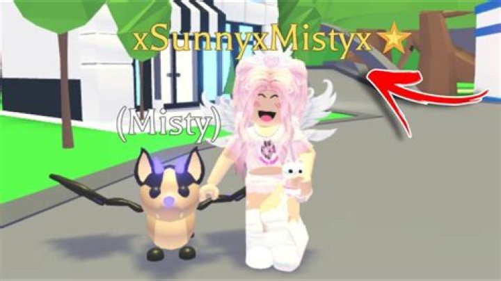 1k for sunnyxmisty name reavl YouTube