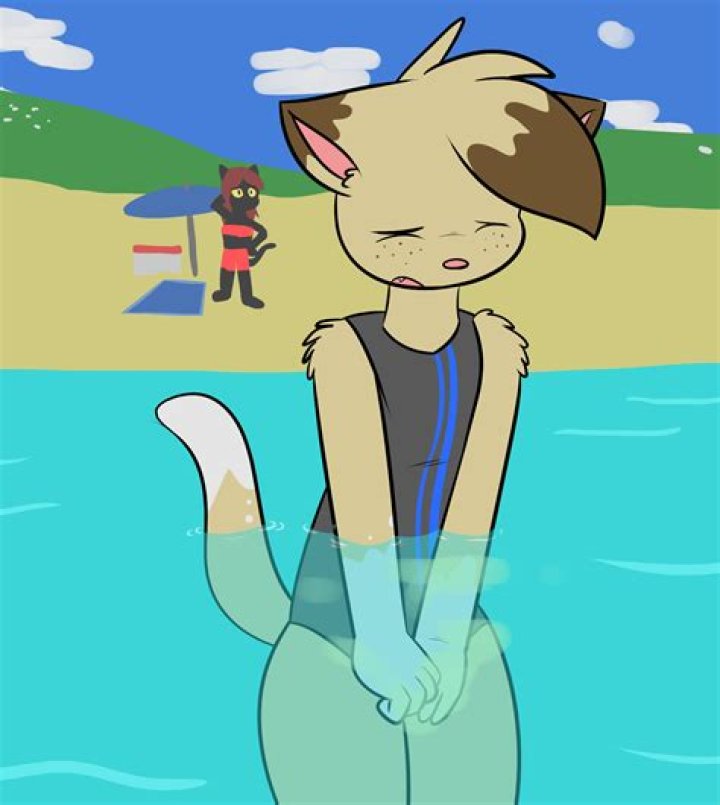 Beach Day Furry Omorashi Artwork
