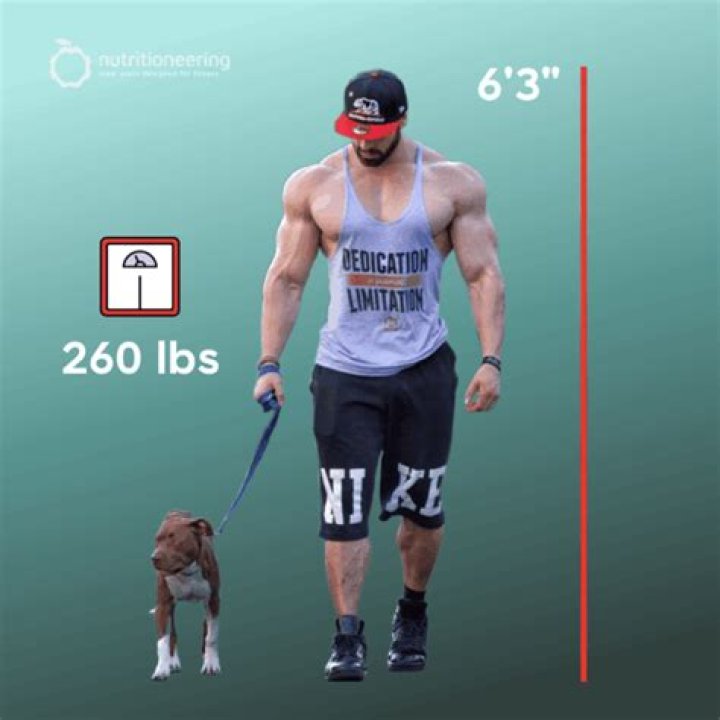Bradley Martyn Height Age Weight Profile Workouts and Diet