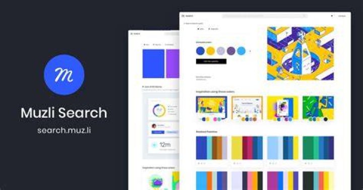 Camila Search by Muzli
