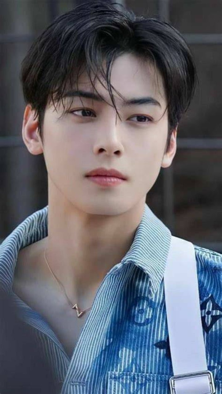Cha Eunwoo: The Versatile Korean Heartthrob
