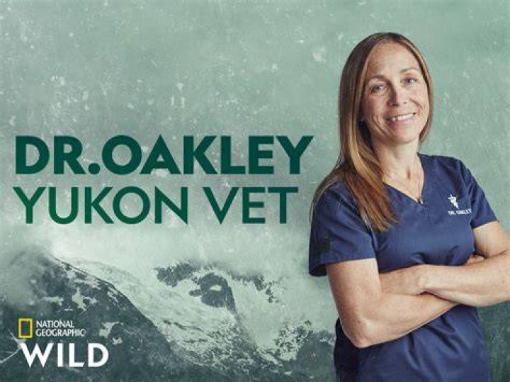Dr Oakley Yukon Vet Season 9 Release Date Preview And Details otakukart