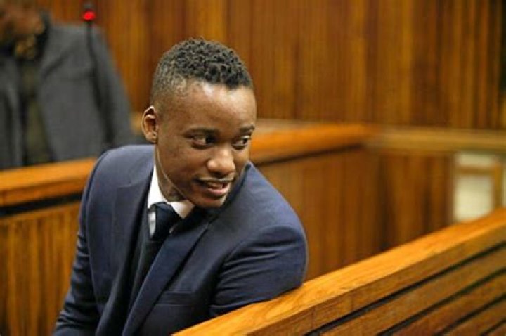 Duduzane Zuma trial The carnage caused by his fatal car crash [photos]