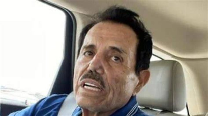 El Mayo's Net Worth Exposed