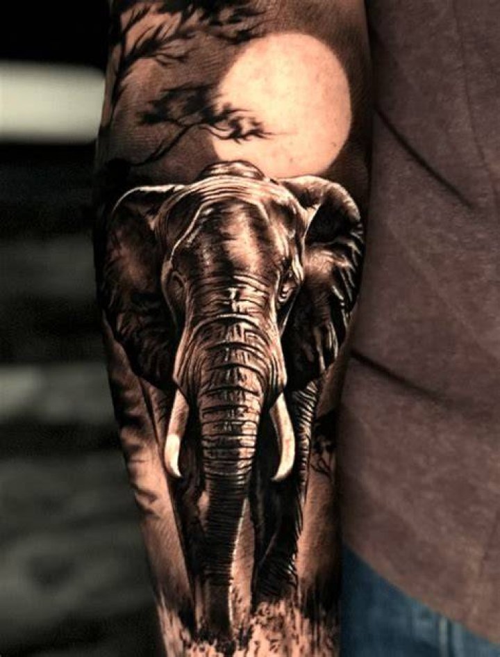 Elephant Tattoos Designs, Ideas and Meaning Tattoos For You