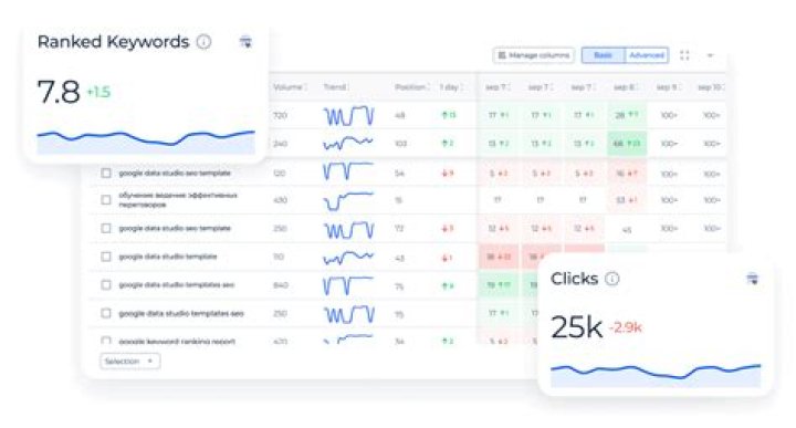 Free Keyword Rank Tracker Monitor Website Positions Daily ᐈ