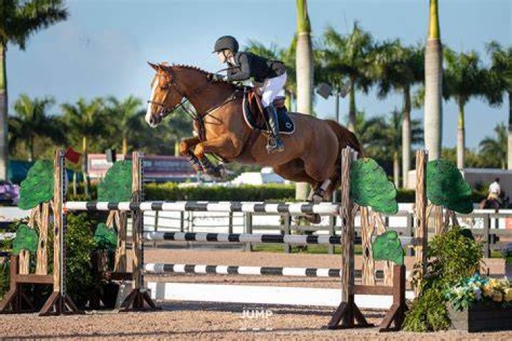 Hannah Selleck Descanso Farm Jump Media Equestrian PR