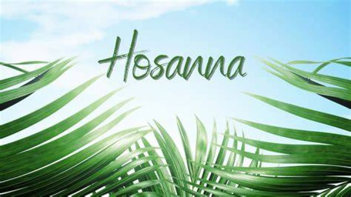 Hosanna in the Highest RealTalk with Rachel Dawn