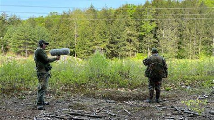 Hunt Fieldwork