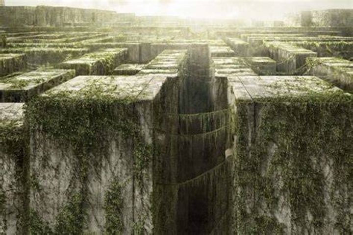 «The maze runner Il labirinto» trama, trailer e perché vederlo TV