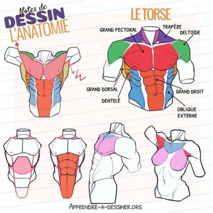 Le torse hercul&eacute;en de Jason Momoa Jason Momoa en 2019 Jason