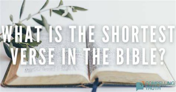 Longest and shortest verse in the Bible Legit.ng