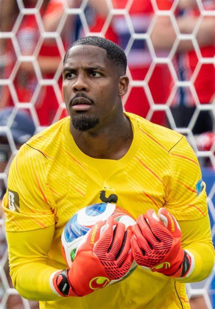 Mike Maignan career stats, height and weight, age