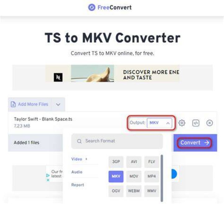 MKV to TS 100 Free & Online