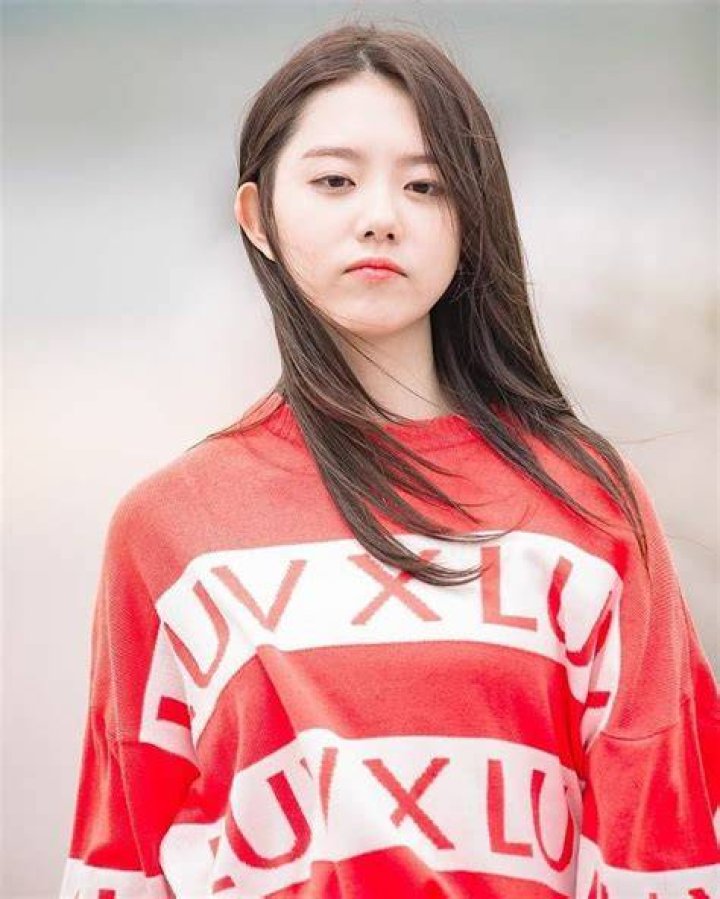 Profil, Biodata, dan Fakta Kim Ji Won Indofankor