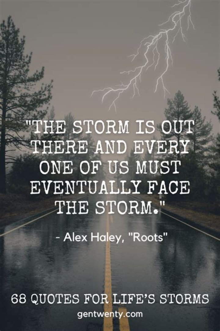 Quotes About Storms Of Life. QuotesGram