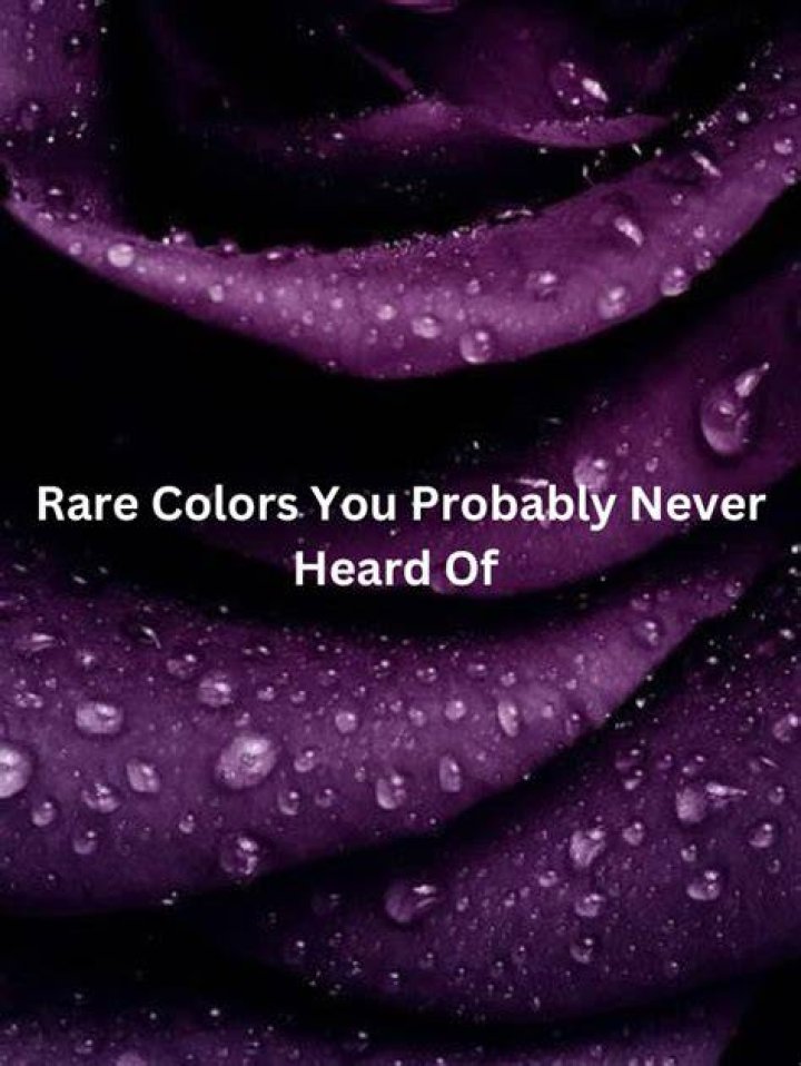 Rare colors you&rsquo;ve never heard of [Video] in 2021 Aesthetic colors