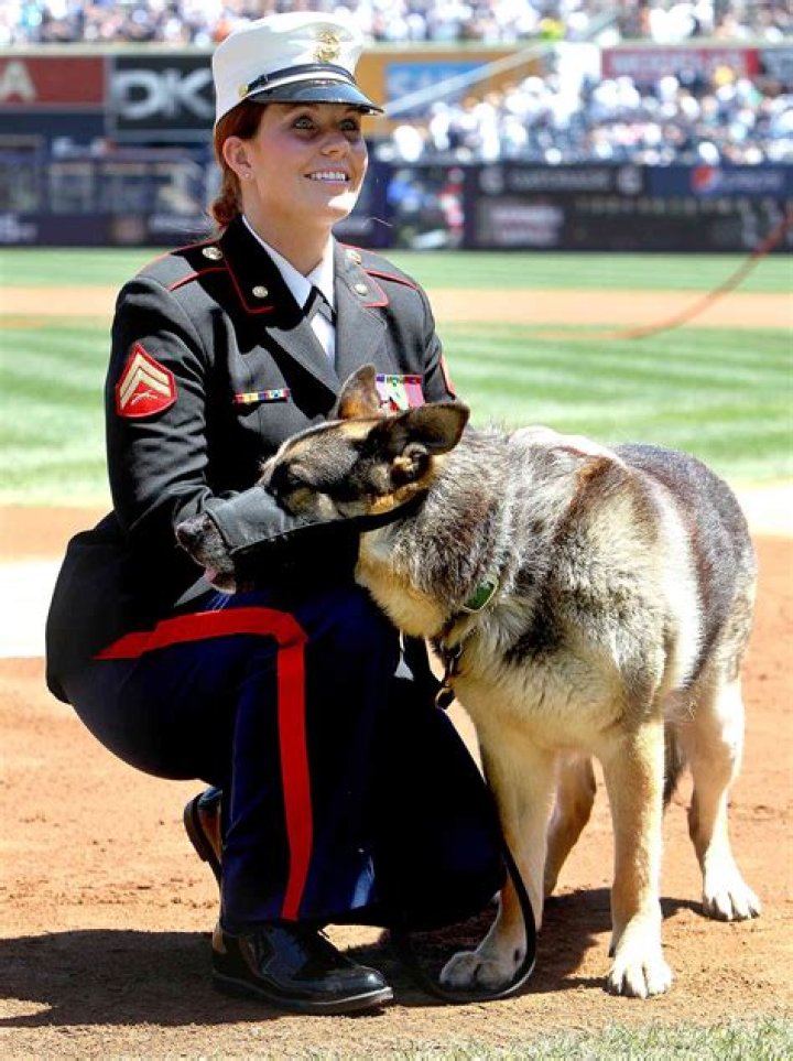 Real Life Megan Leavey Shares Stories of Dog Rex and Megan Leavey Movie
