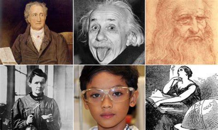 Smartest People Ever The People with the Highest IQs in History