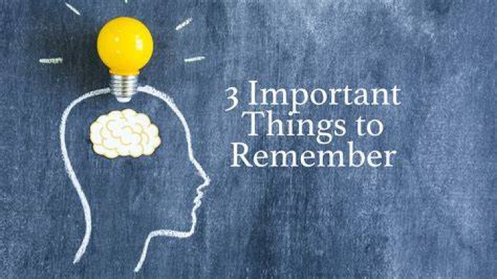 The 3 Most Important Things to Know About Harlene Rosen Magazine Valley