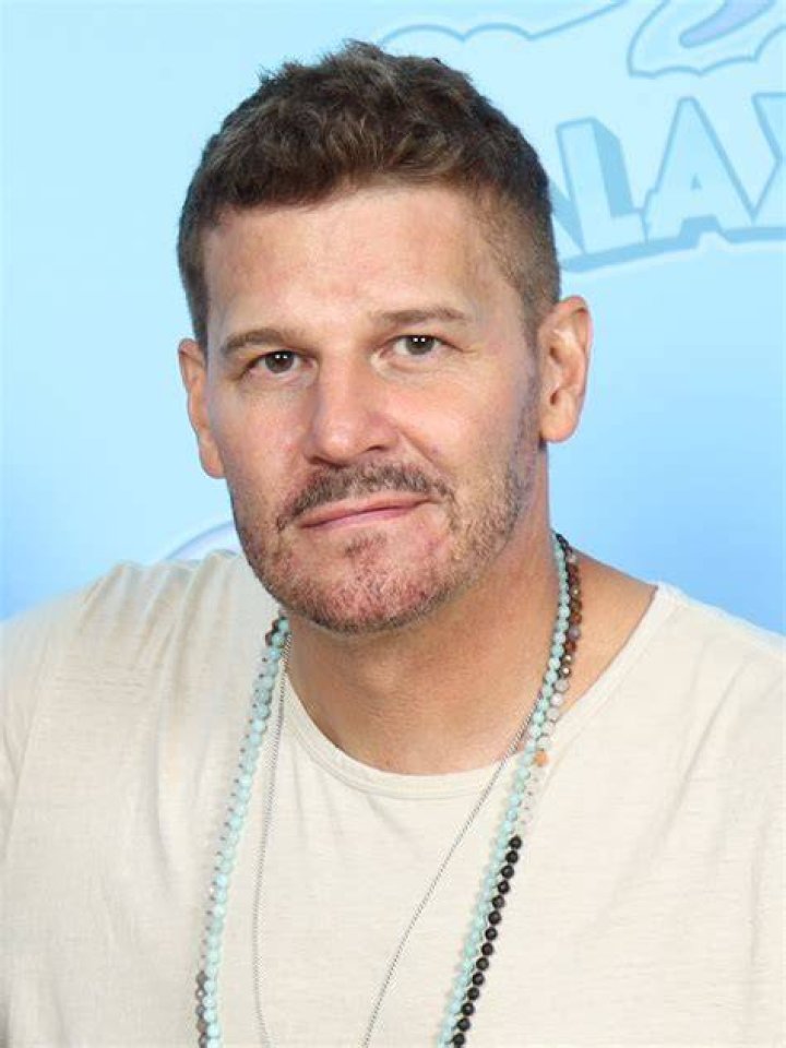 The Age Of David Boreanaz: Unveiling The Years