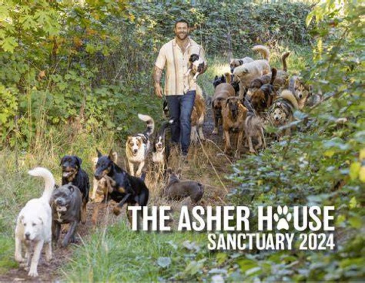 The Asher House, Led by Lee Asher, Rescues Dogs Across the Country