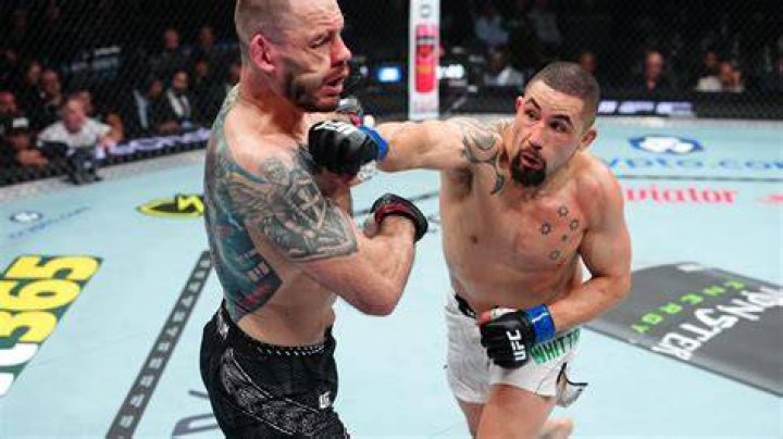 The Paternal Lineage Of UFC Star Robert Whittaker