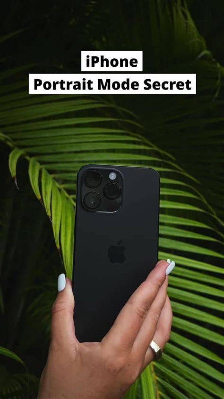 The secret of Best Iphone Games That Don't Require Wifi AnneMarie Betts