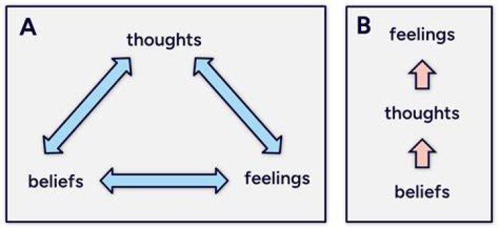 Thoughts, Feelings, Beliefs, and Philosophies Page 8 INFJ Forum