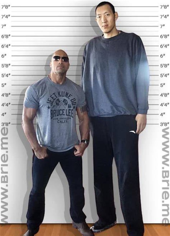 Unlocking The Secrets Of Sun Mingming's Remarkable Height