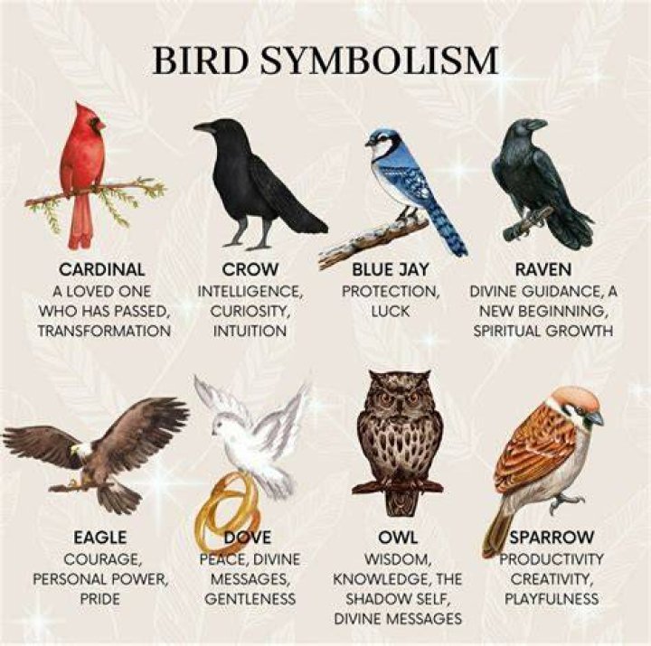 Unveiling The Symbolism And Significance Of These Mystical Birds